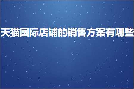 跨境电商知识:天猫国际店铺的销售方案有哪些